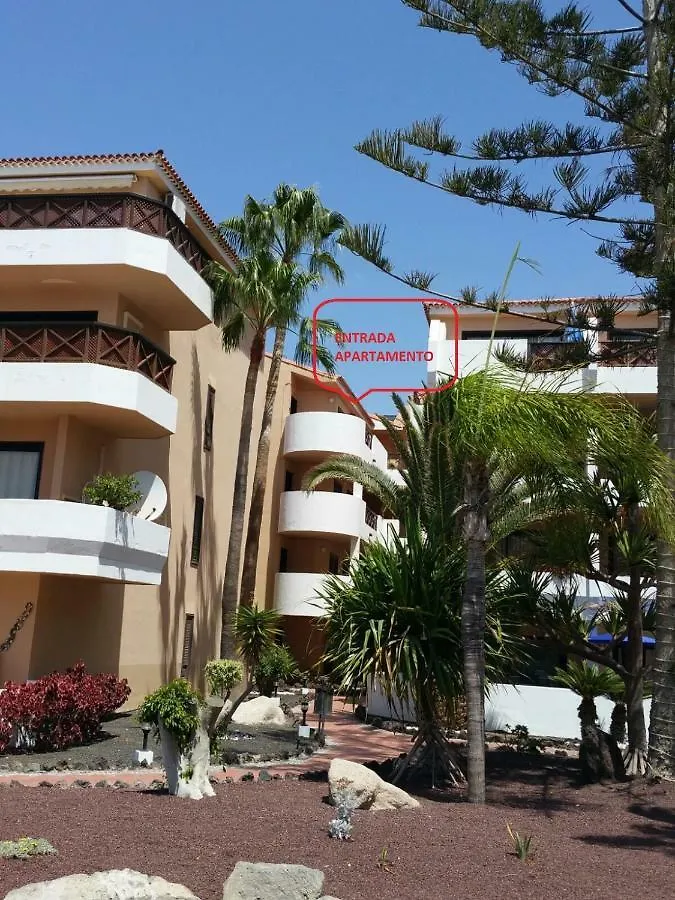 Lejlighed Apartamento Kassir San Miguel de Abona Spanien